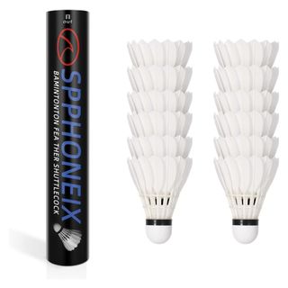 Badminton shuttlecock singapore deals
