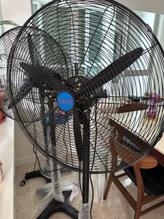 (Category: ) located in . Submitted by liuonly3 (Listing ID 1282002765, Image 1). Description: .