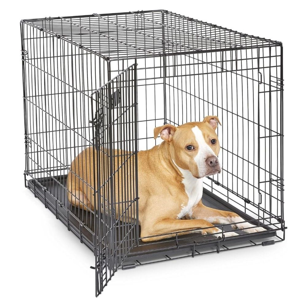 36 plastic 2025 dog crate