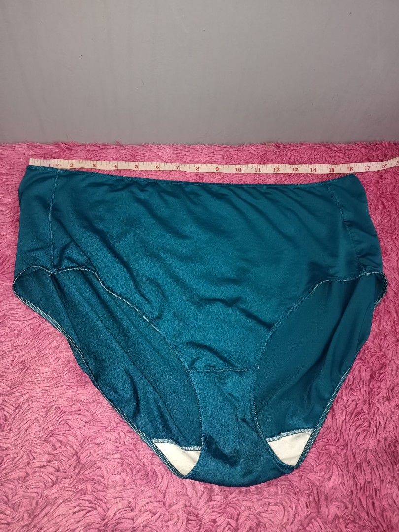 Hanes plus size store panties