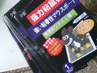 （分類：）位於 。 由 john_to.793 提交（商品編號 1282577241，圖片 1）。簡介： 。