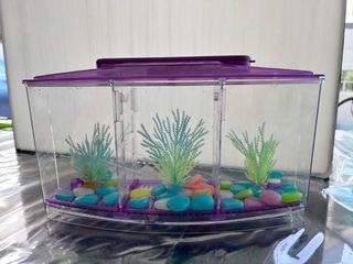 Small Betta Fish Tank, Aquarium Tank Kit with LED Lighting, 3/5 Gallon  Stackable