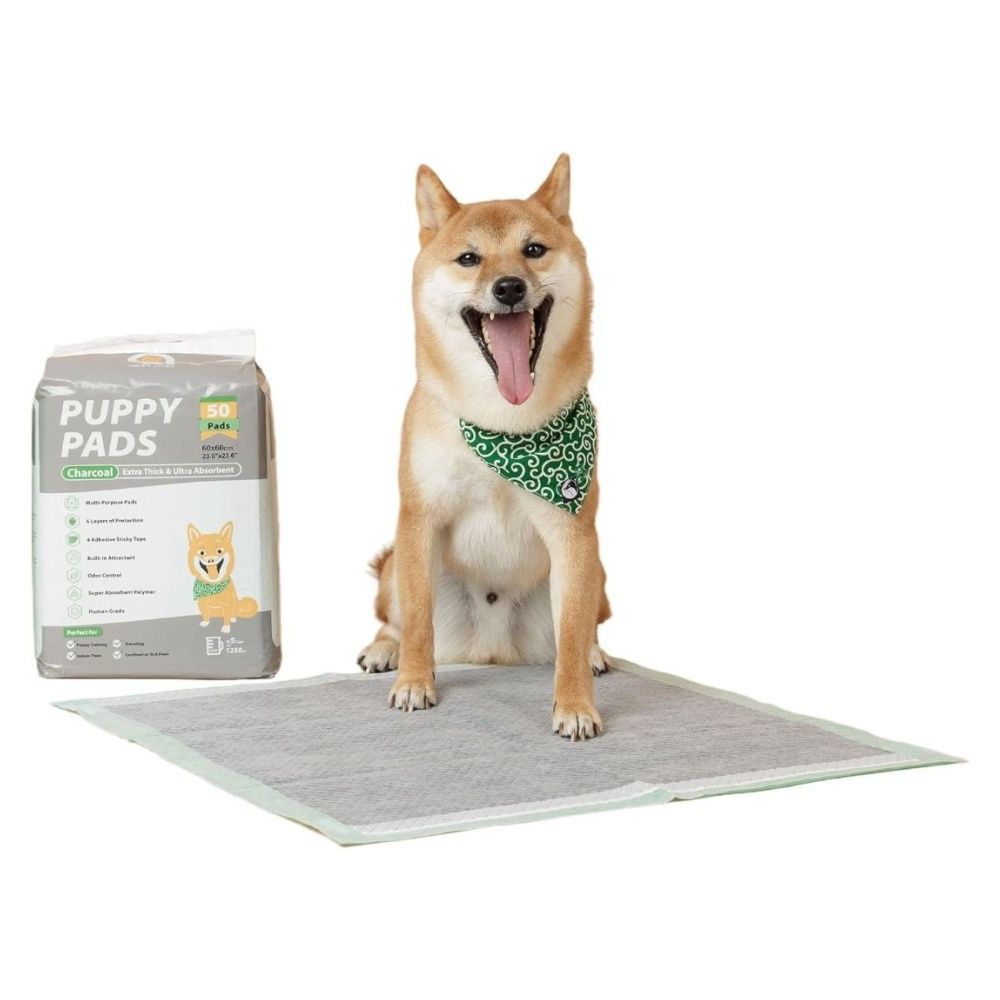 Extra thick puppy best sale pads