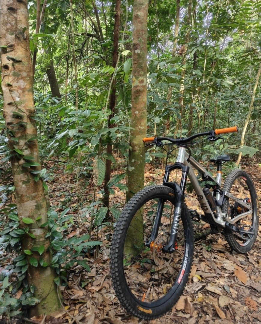 Commencal meta tr best sale 29 for sale
