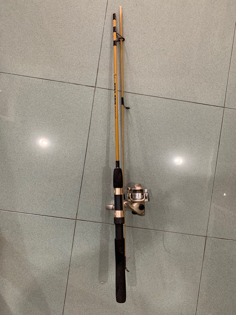Dyna Spin Medium Action PS 50m Fishing Rod with TF100 3 Ball Bearing Fishing  Reel, Sports Equipment, Fishing on Carousell