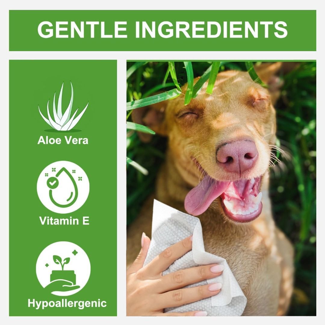 Dog store butt wipes