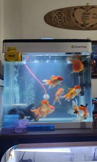 (Category: ) located in . Submitted by mohamednazmi (Listing ID 1282552983, Image 1). Description: .