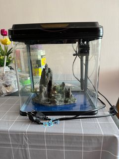 (Category: ) located in . Submitted by kyojuz (Listing ID 1282431232, Image 1). Description: .