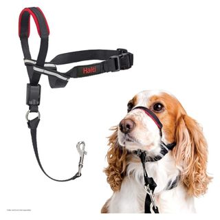 Halti leader on sale