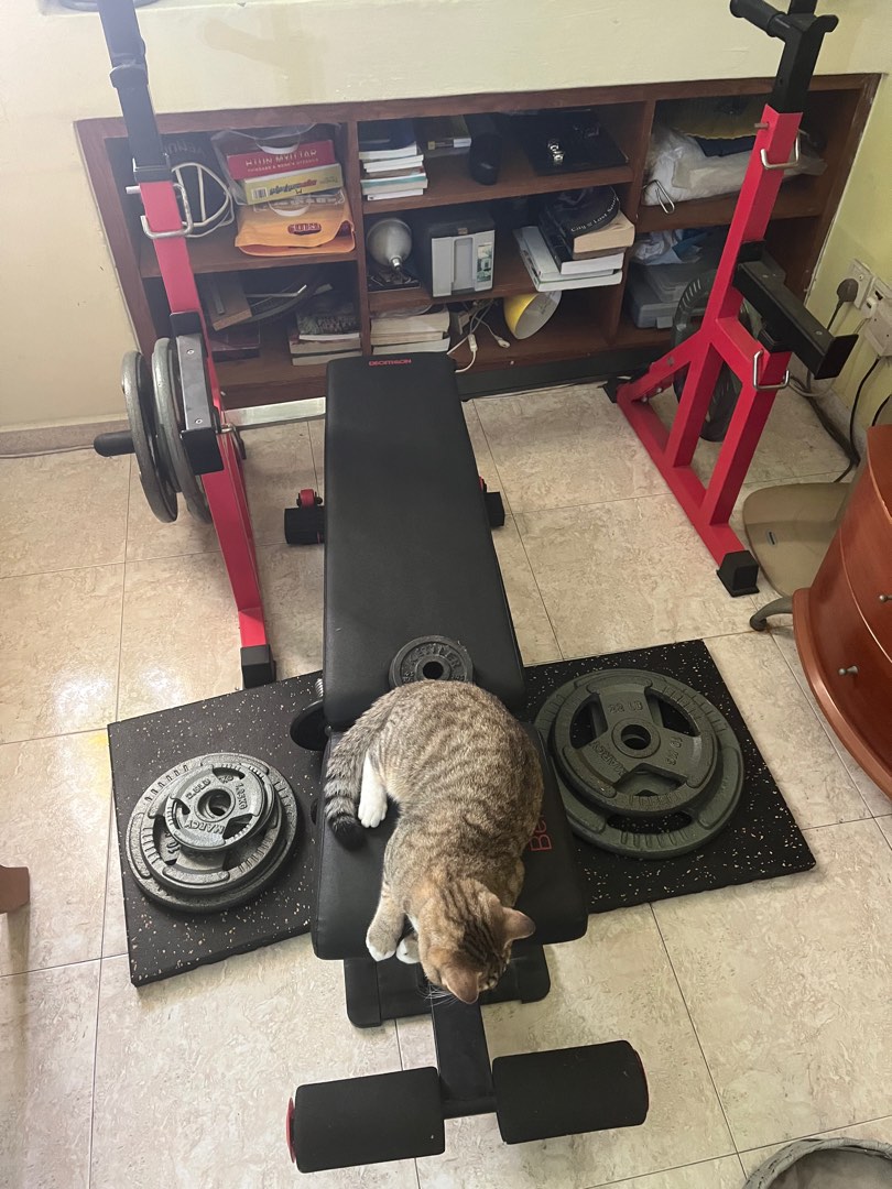 Home Gym/Squat rack/Bench rack/ adjustable spotter rack with bench ...