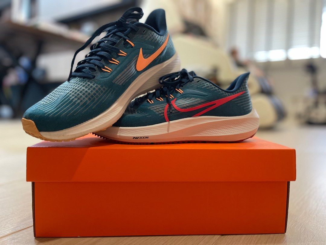 Mens air pegasus shop