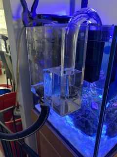 Skimz shop overflow box