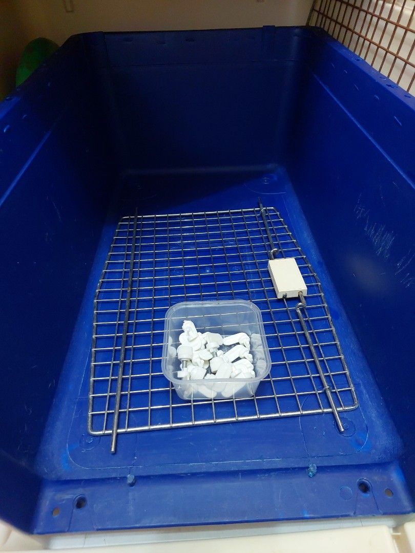 PP40 Crate Pet Supplies Homes Other Pet Accessories on Carousell