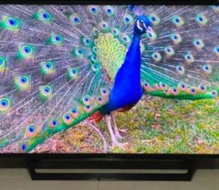 (Category: ) located in . Submitted by vinay0592 (Listing ID 1282412114, Image 1). Description: .