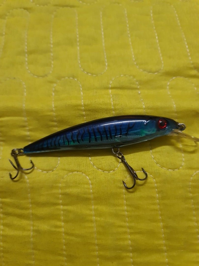 Duel Aile Mode TC Twitching Lure, Sports Equipment, Fishing on