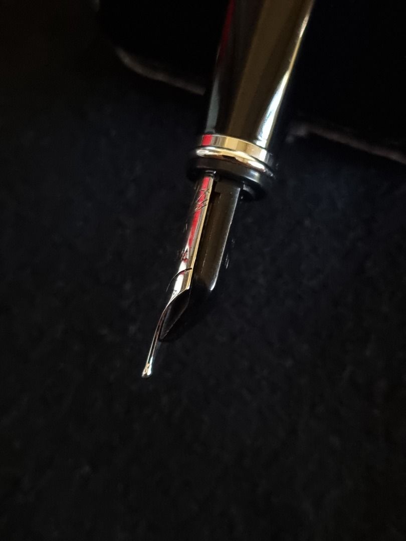 Waterman Exception Slim Raspberry Fountain Pen, Hobbies & Toys ...