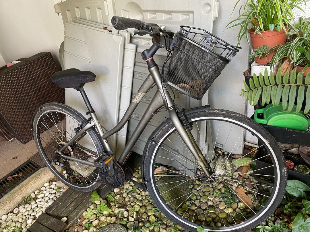 Womens sales shopper bike