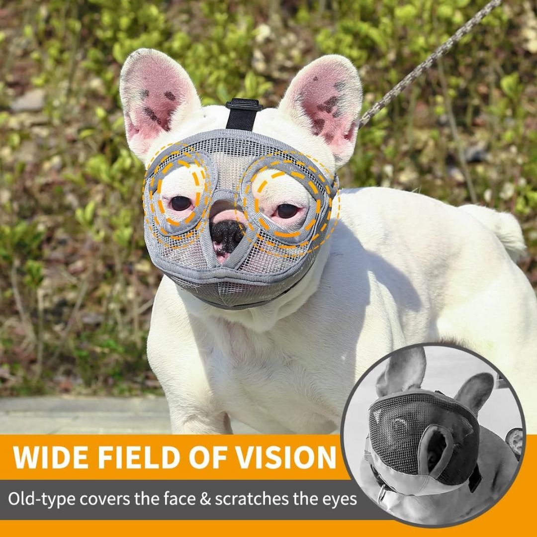 Flat faced dog muzzle 2025