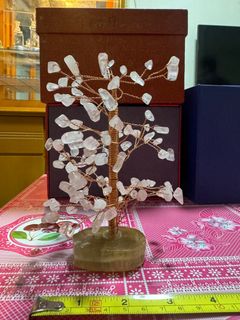 （分類：）位於 。 由 amelia_pig 提交（商品編號 1282718713，圖片 1）。簡介： 。
