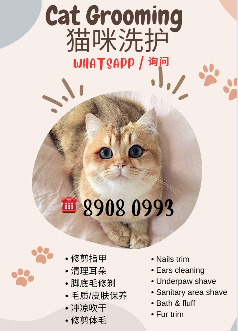 (Category: ) located in . Submitted by barkandpurrpetgrooming (Listing ID 1282705335, Image 1). Description: .