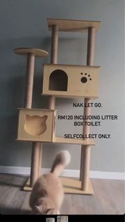 (Category: ) located in . Submitted by acapellazz (Listing ID 1282620528, Image 1). Description: .