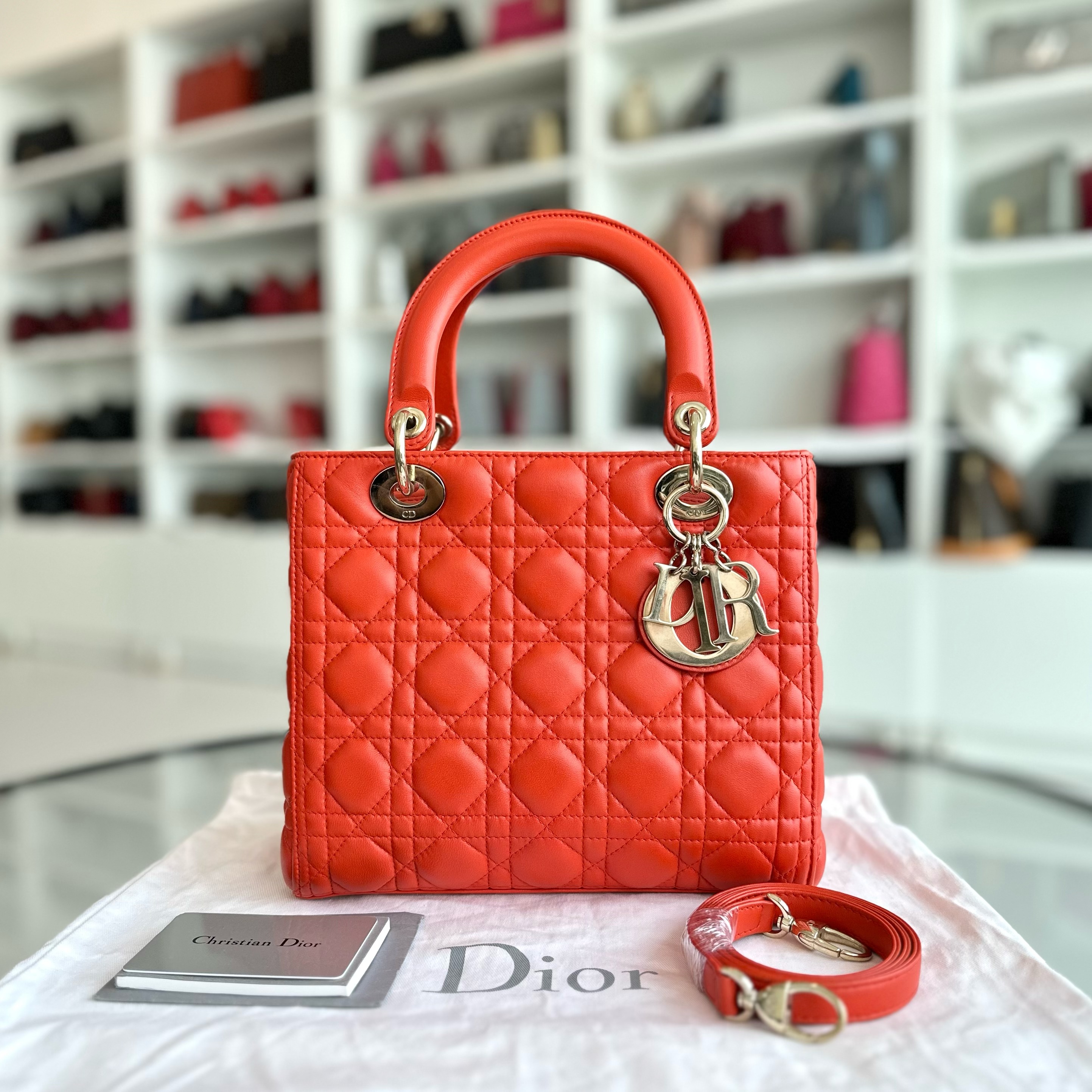Christian dior orange bag outlet
