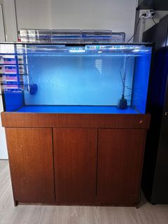 (Category: ) located in . Submitted by mrbbrm (Listing ID 1282731953, Image 1). Description: .