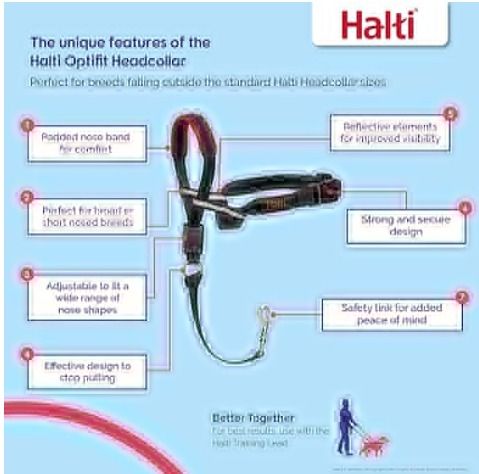 HALTI No Pull Harness Size Large, Bestselling Professional Dog Harness to  Stop Pulling on The Lead, Easy to Use, Anti-Pull Training Aid, Adjustable