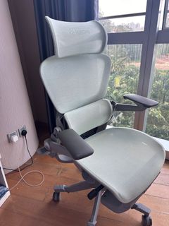 Hinomi H1 Pro Ergonomic Office Chair, Furniture & Home Living