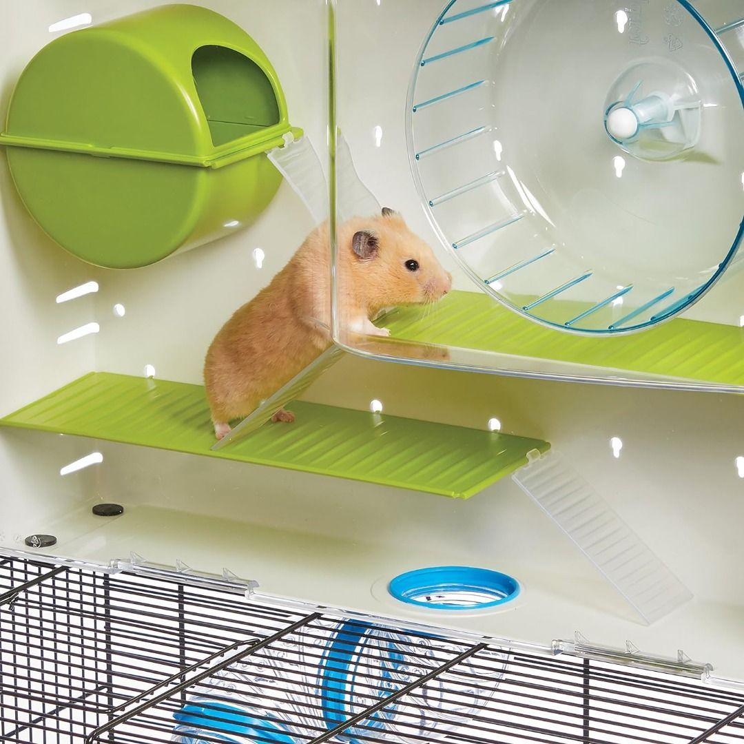 Awesome hamster cages 2025