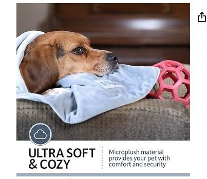 Petfusion blanket sale