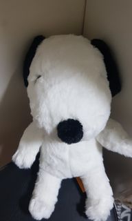 (Category: ) located in . Submitted by PlushStore (Listing ID 1282749412, Image 1). Description: .