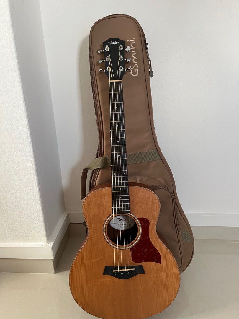 Gig bag taylor cheap