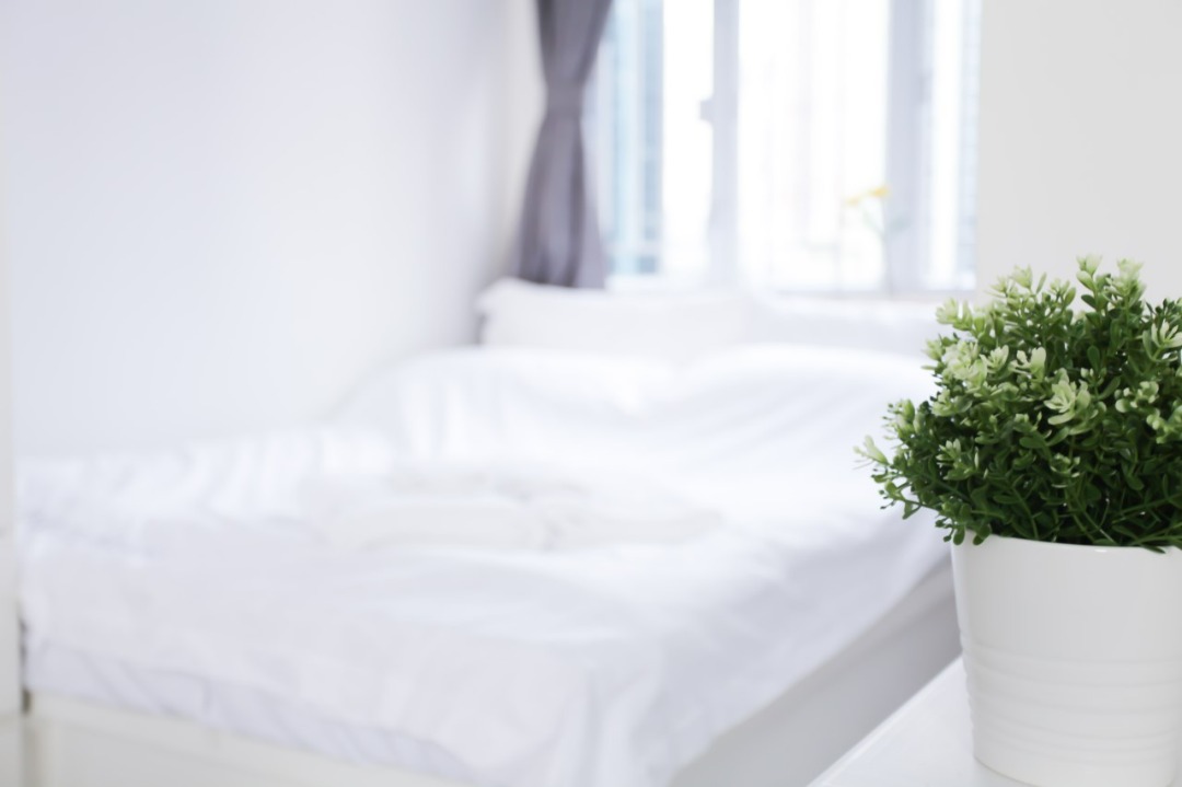 Short-term rental, Battery Hill sea view studio apartment, move-in without commission, fully equipped with appliances, pets welcome62865879714946111