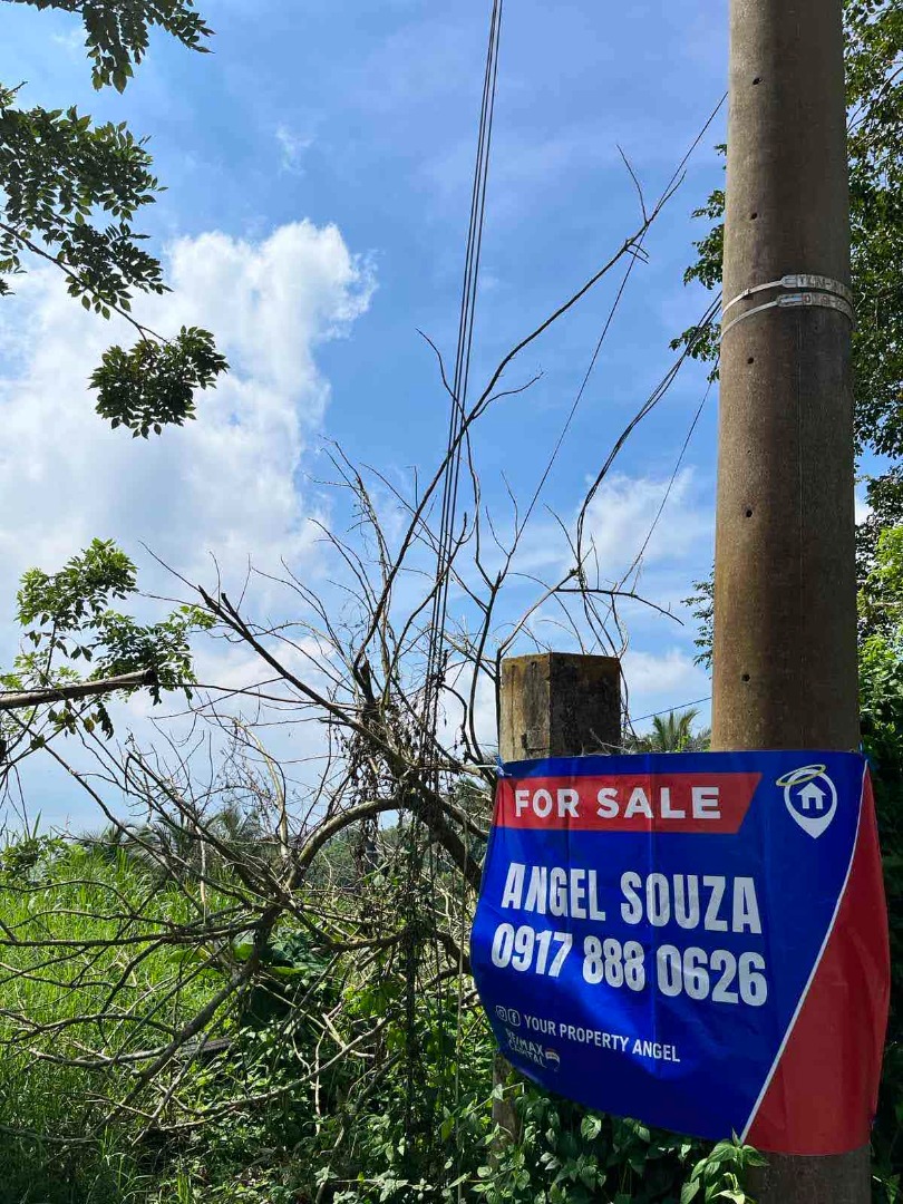 AS FOR SALE 1,324 sqm Lot in Iruhin East Tagaytay, Property, For