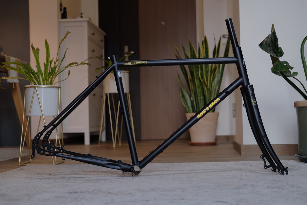 BASSI BIKES HOG'S BACK 2022 Frame size 51, Sports Equipment, Bicycles ...