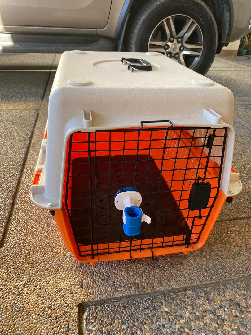 Brand new dog crate w/ free water dispenser, Pet Supplies, Homes ...