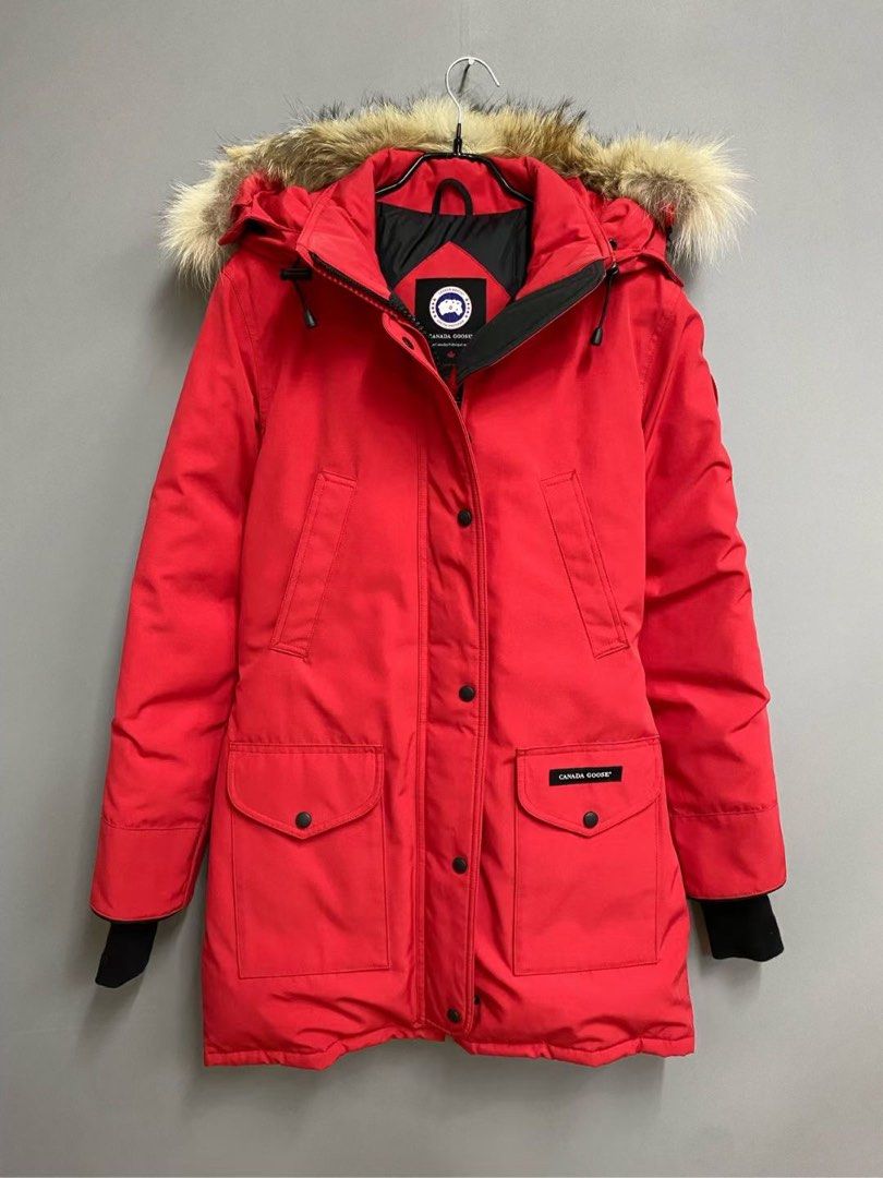 Canada goose