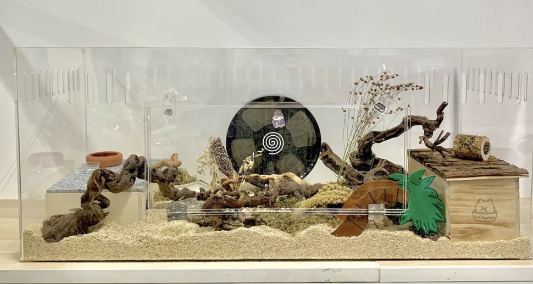 Clear acrylic hamster cage hot sale