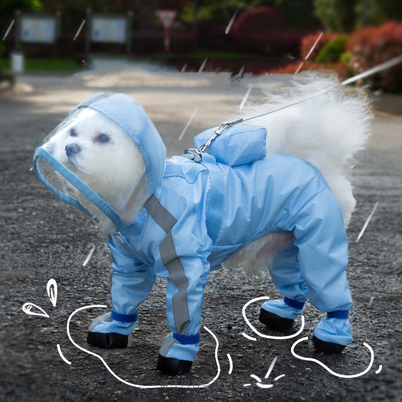 Puppy cheap in raincoat