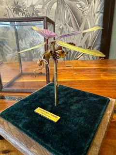 (Category: ) located in . Submitted by funny_museum (Listing ID 1276251773, Image 1). Description: .