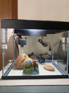 （分類：）位於 。 由 dalialeiten 提交（商品編號 1276187734，圖片 1）。簡介： 。