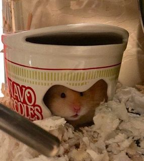 (Category: ) located in . Submitted by charleshighh (Listing ID 1276204612, Image 1). Description: .