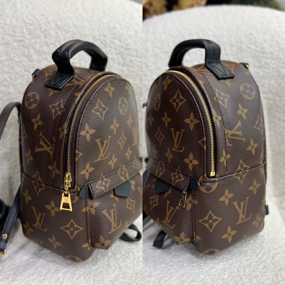 Louis Vuitton Palm Spings Mini Backpack Monogram New Version