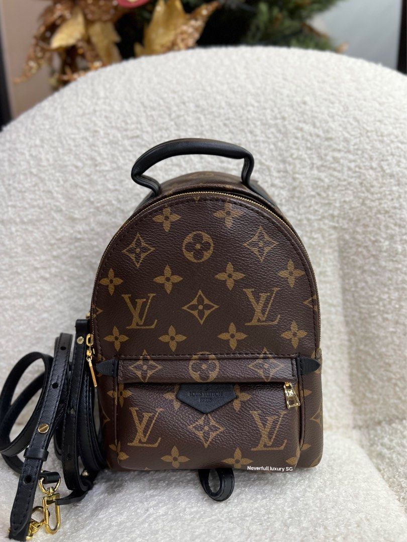 Palm springs hot sale mini louis vuitton