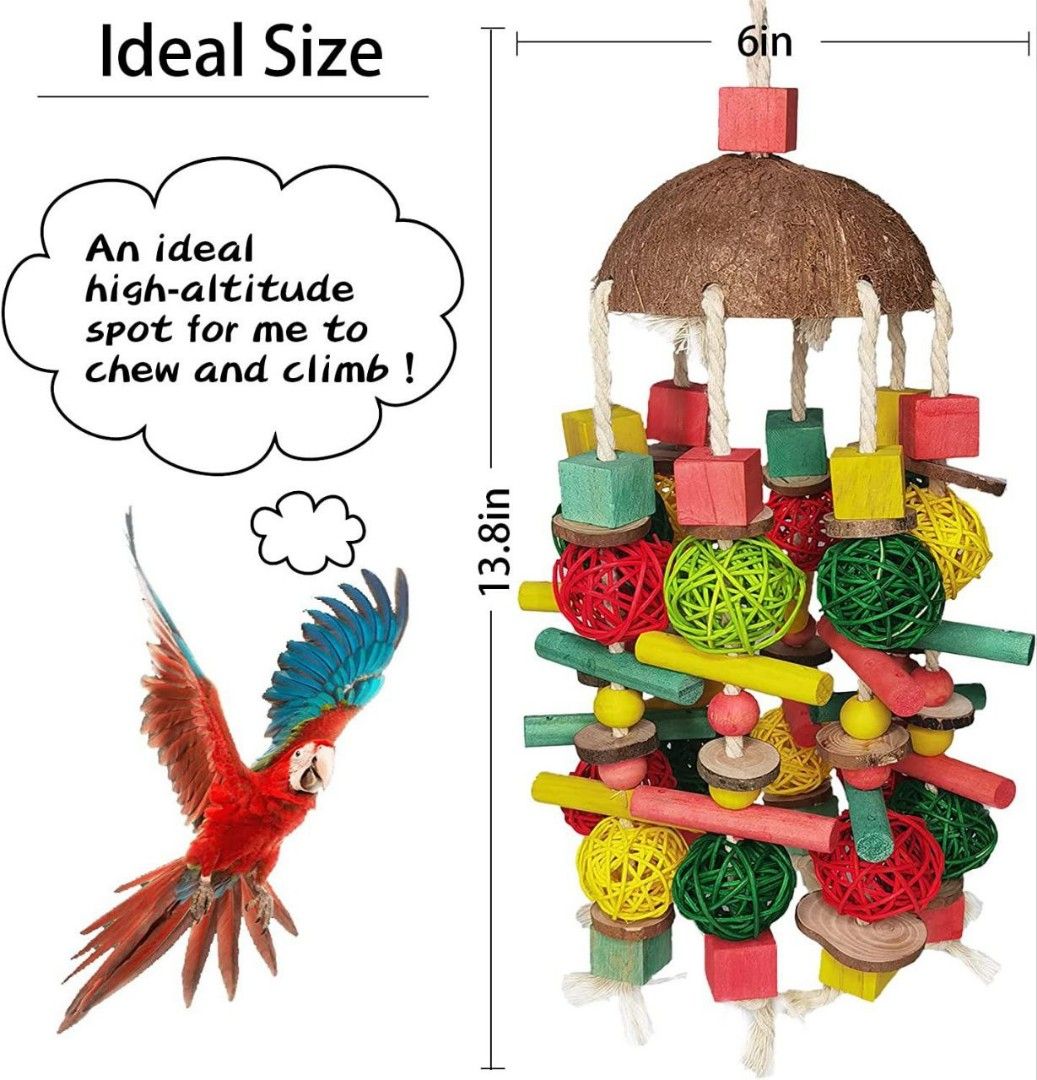 Bird toys sale near me
