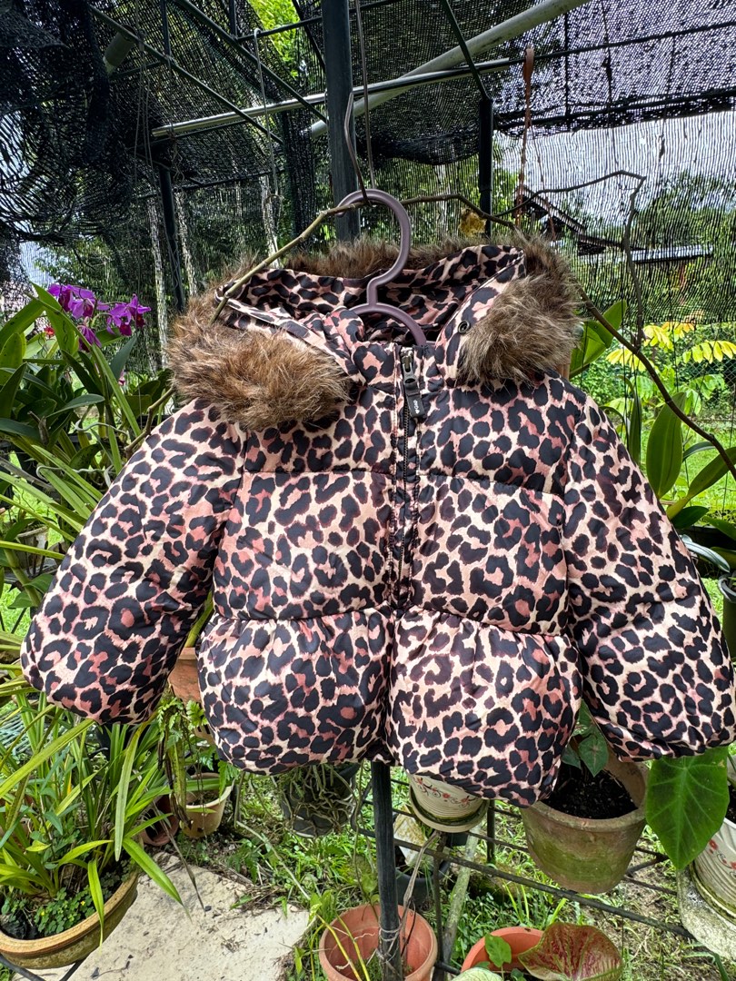 Zara ki hot sale jacket