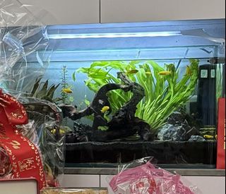 （分類：）位於 。 由 jaja9966 提交（商品編號 1282885515，圖片 1）。簡介： 。