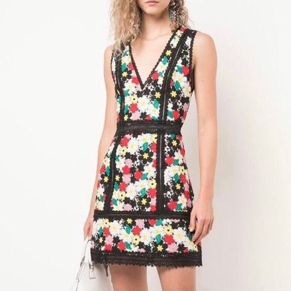 Alice online olivia zula