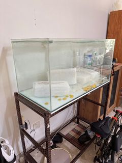 (Category: ) located in . Submitted by royalspunk02 (Listing ID 1282982168, Image 1). Description: .